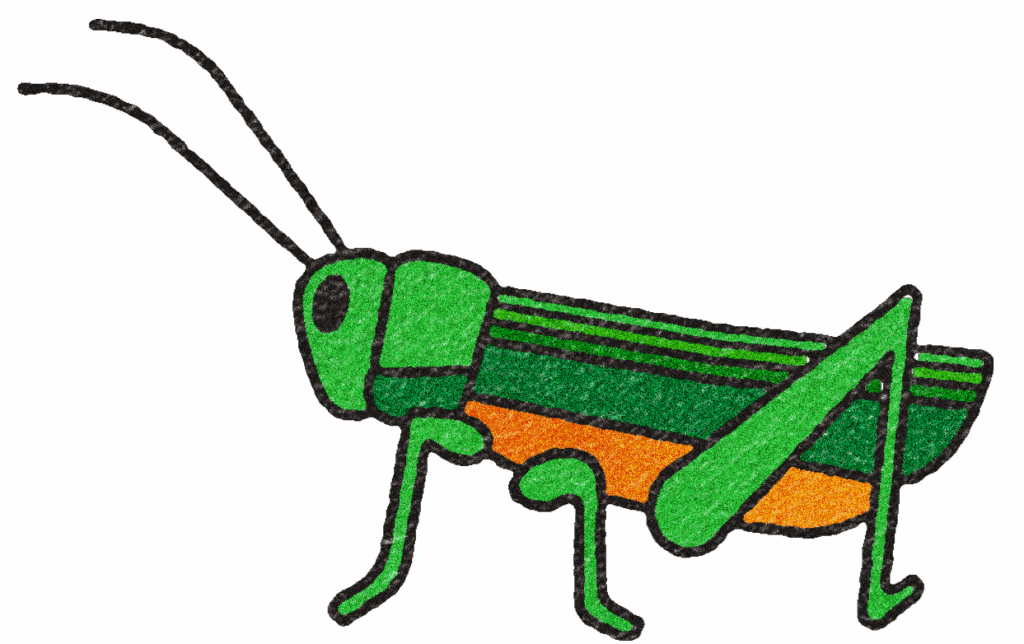 Grasshopper