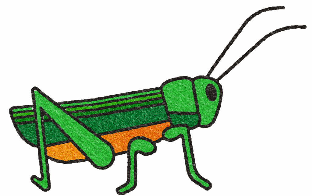 Grasshopper