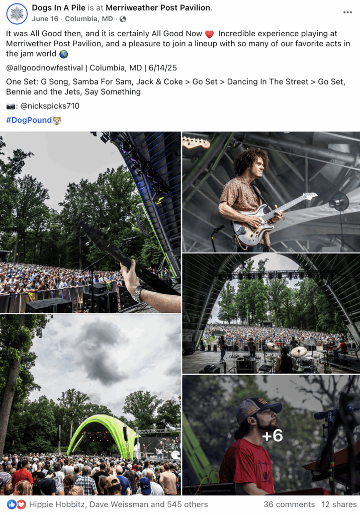 Dogs In A Pile BROUGHT IT